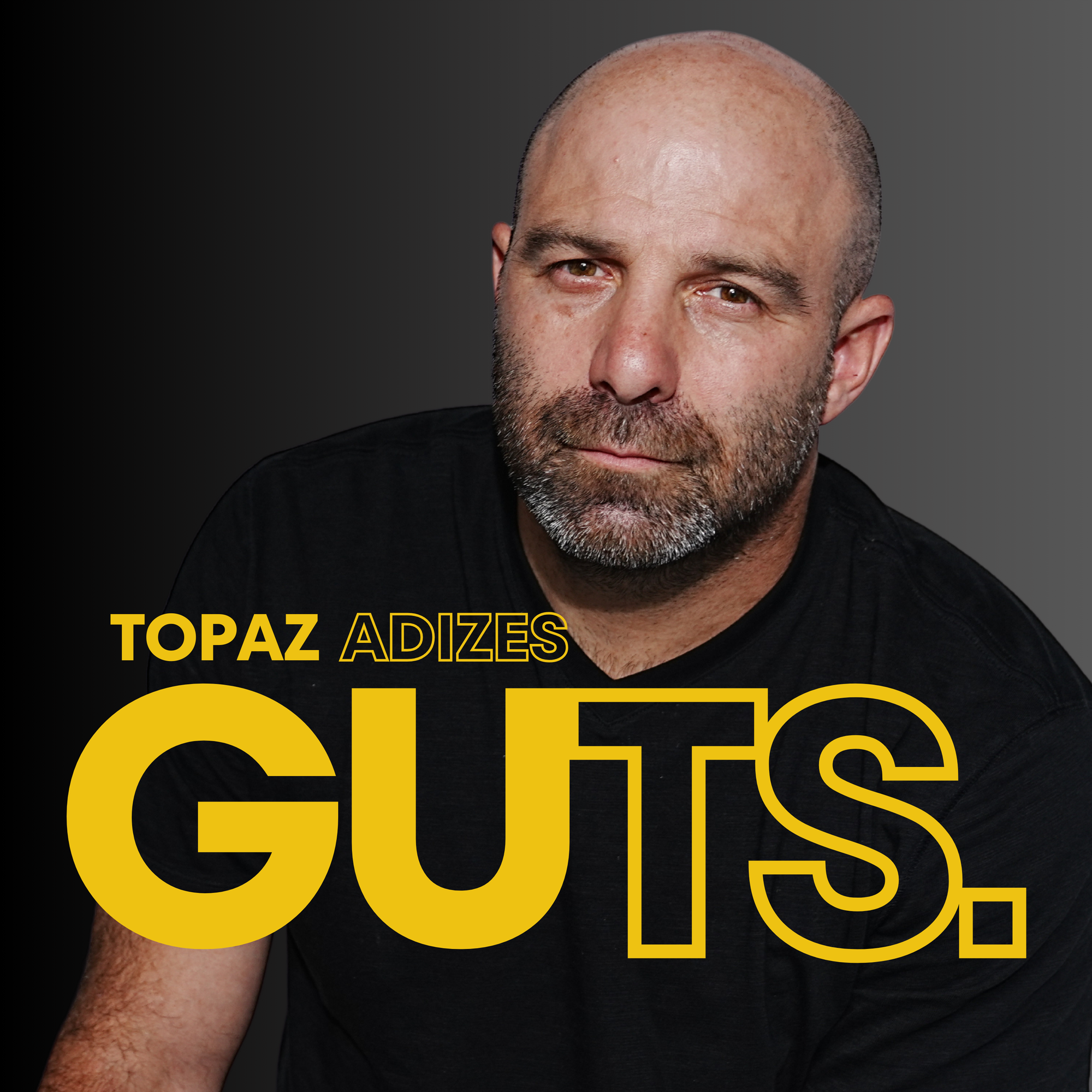 Topaz Adizes